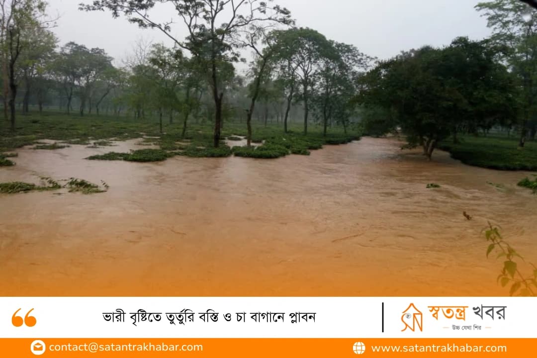 ভারী বৃষ্টিতে তুর্তুরি বস্তি ও চা বাগানে প্লাবন