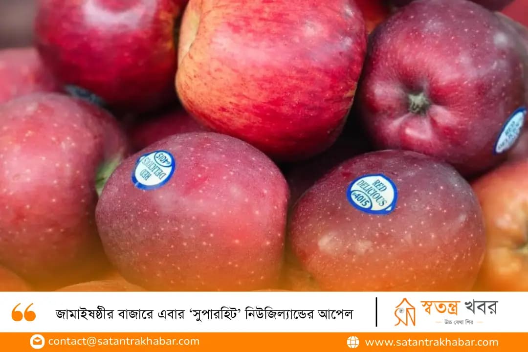 জামাইষষ্ঠীর বাজারে এবার ‘সুপারহিট’ নিউজিল্যান্ডের আপেল