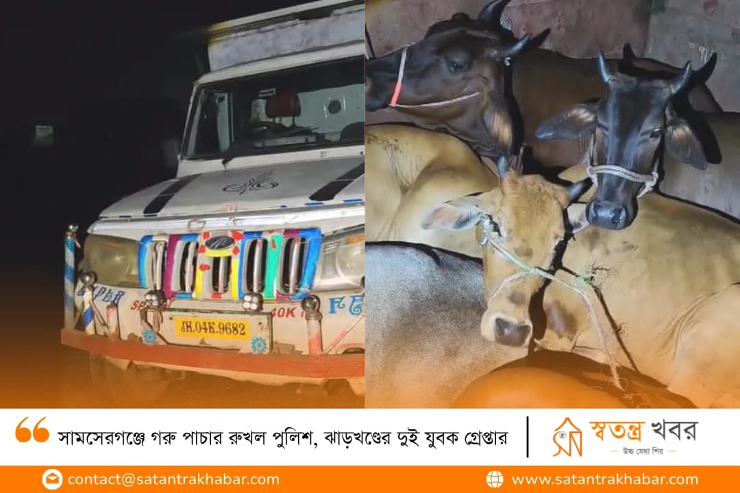 সামসেরগঞ্জে গরু পাচার রুখল পুলিশ, ঝাড়খণ্ডের দুই যুবক গ্রেপ্তার 