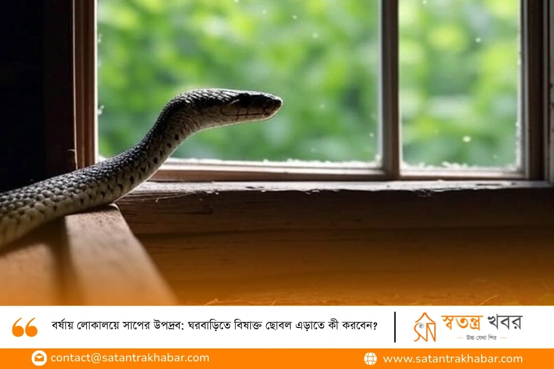 বর্ষায় লোকালয়ে সাপের উপদ্রব: ঘরবাড়িতে বিষাক্ত ছোবল এড়াতে কী করবেন?